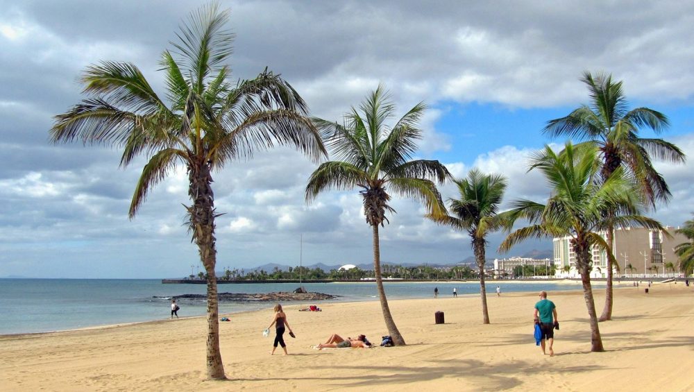 palme lanzarote