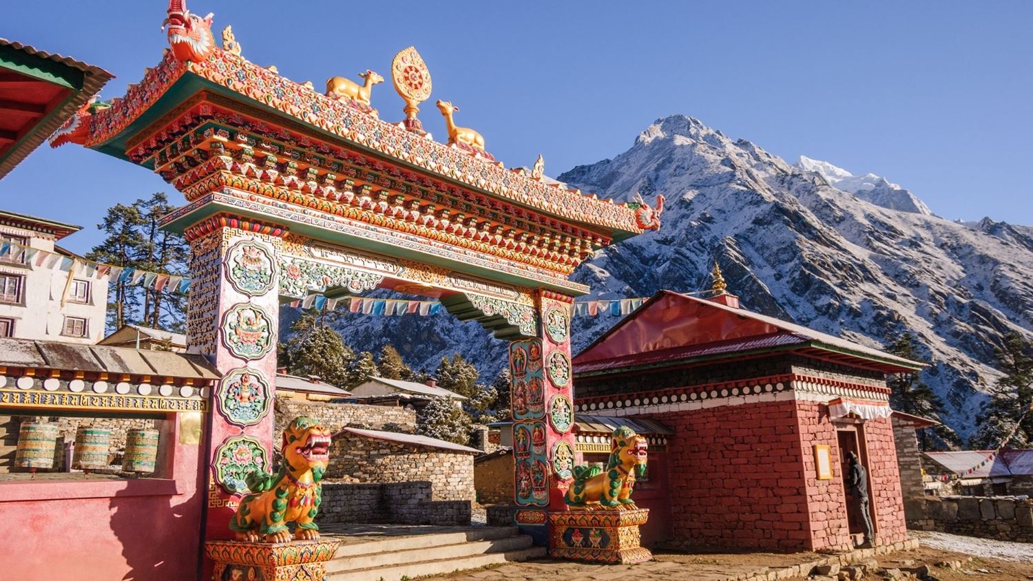 porta nepal viaggio in Nepal