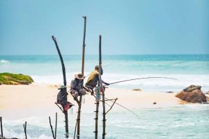 Sri Lanka cosa vedere Stilt Fishing