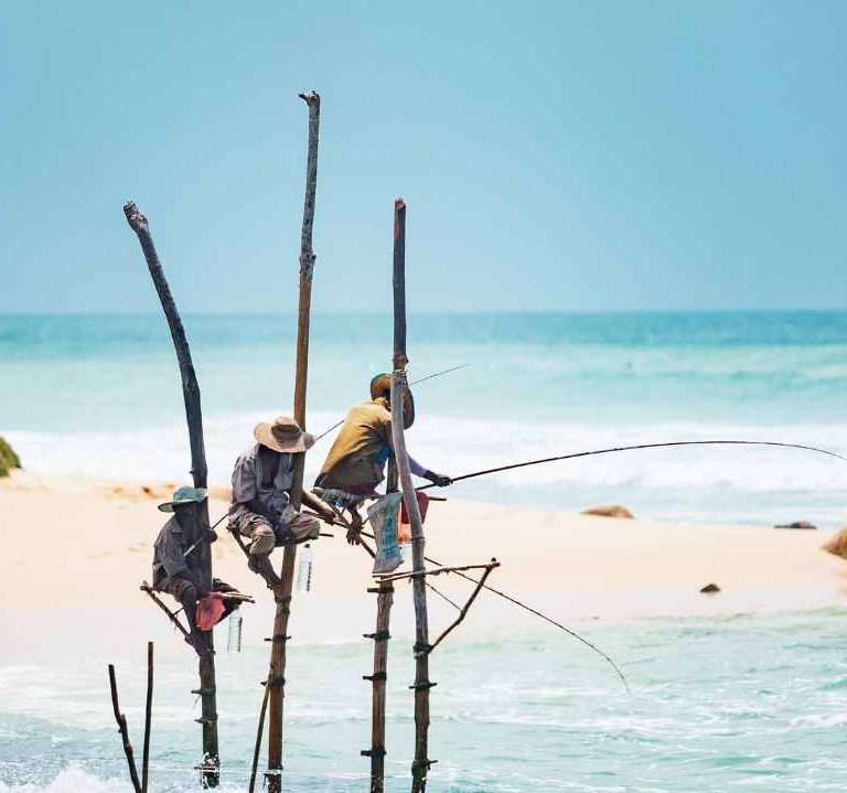 Sri Lanka cosa vedere Stilt Fishing