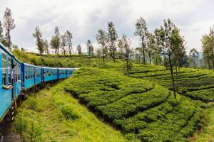 Sri Lanka Treno Ella nelle piantagioni di tè
