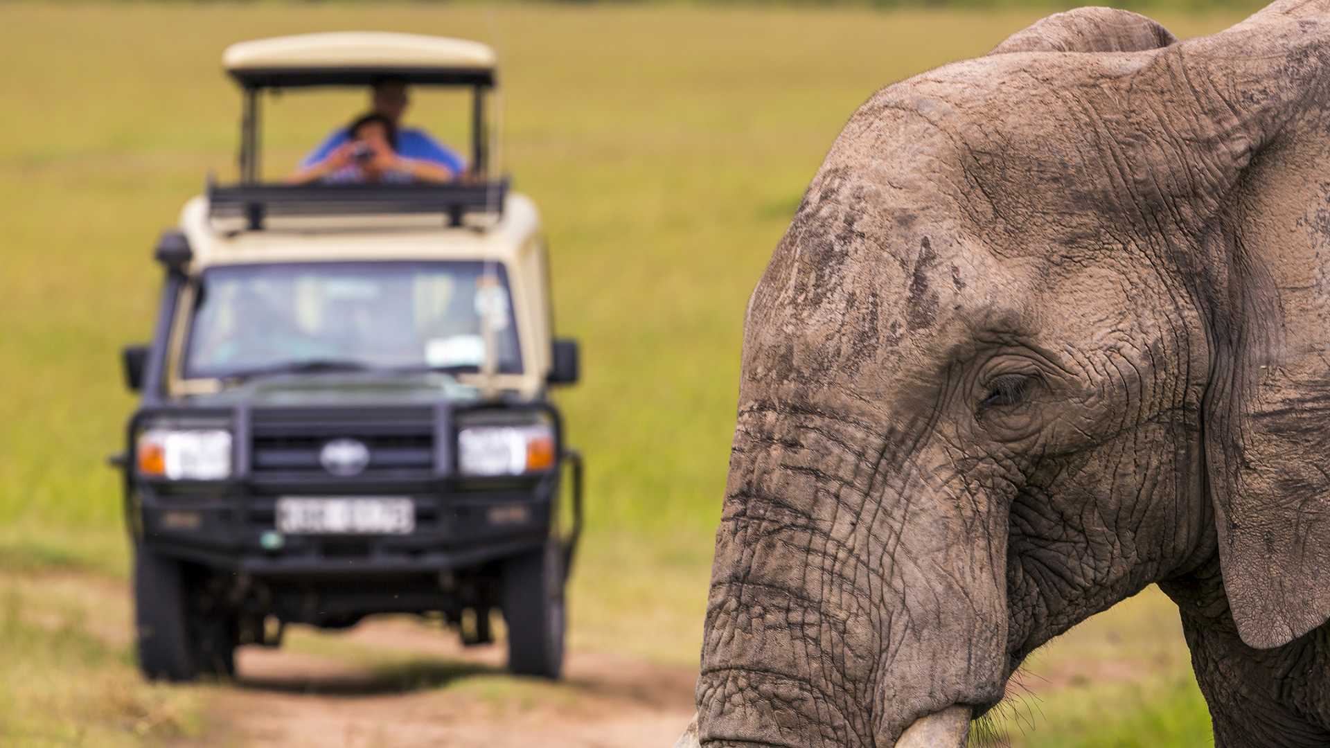 parchi e safari kenya