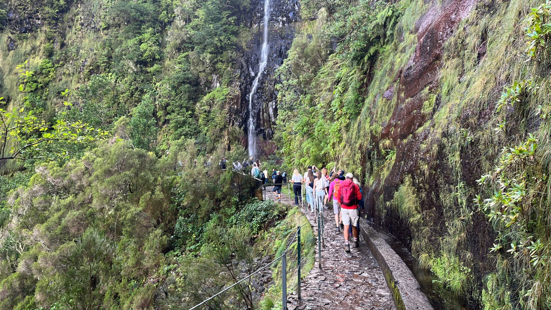 Madeira cascata Rabacal 25 Fontes