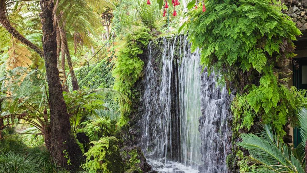 Madeira trekking tra le cascate