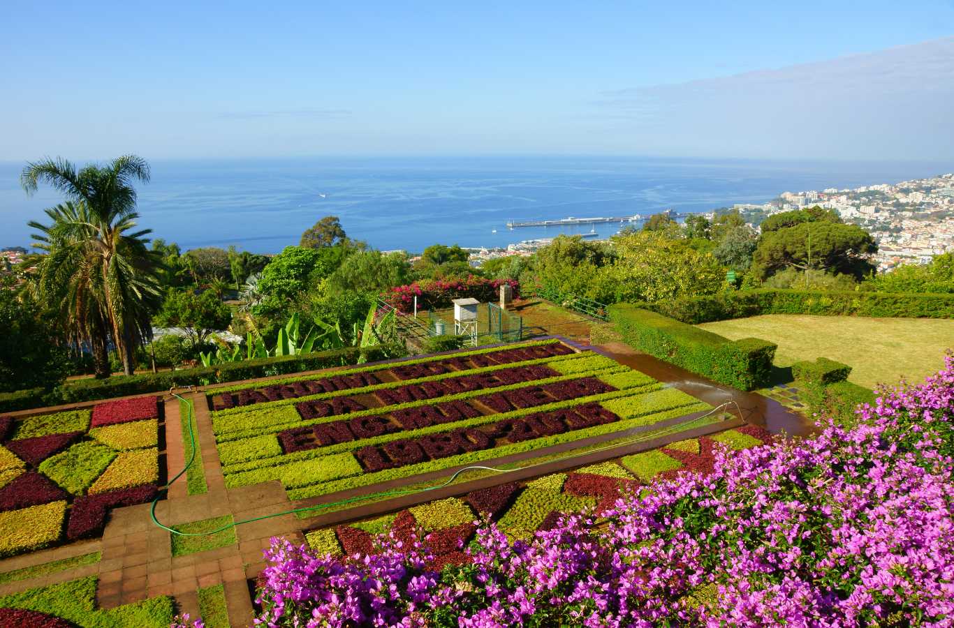 Funchal fioriture Madeira