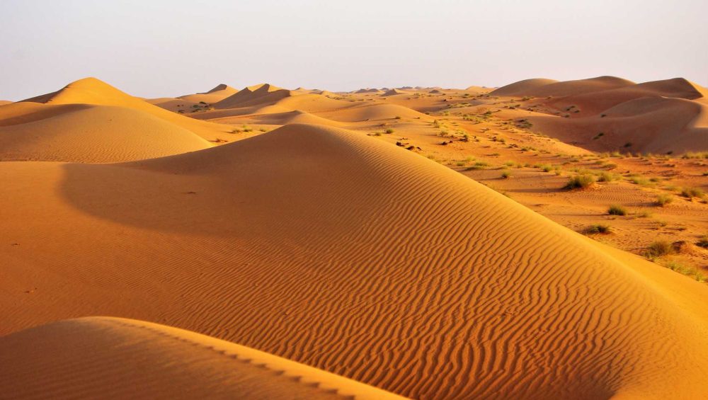 Dune deserto Oman