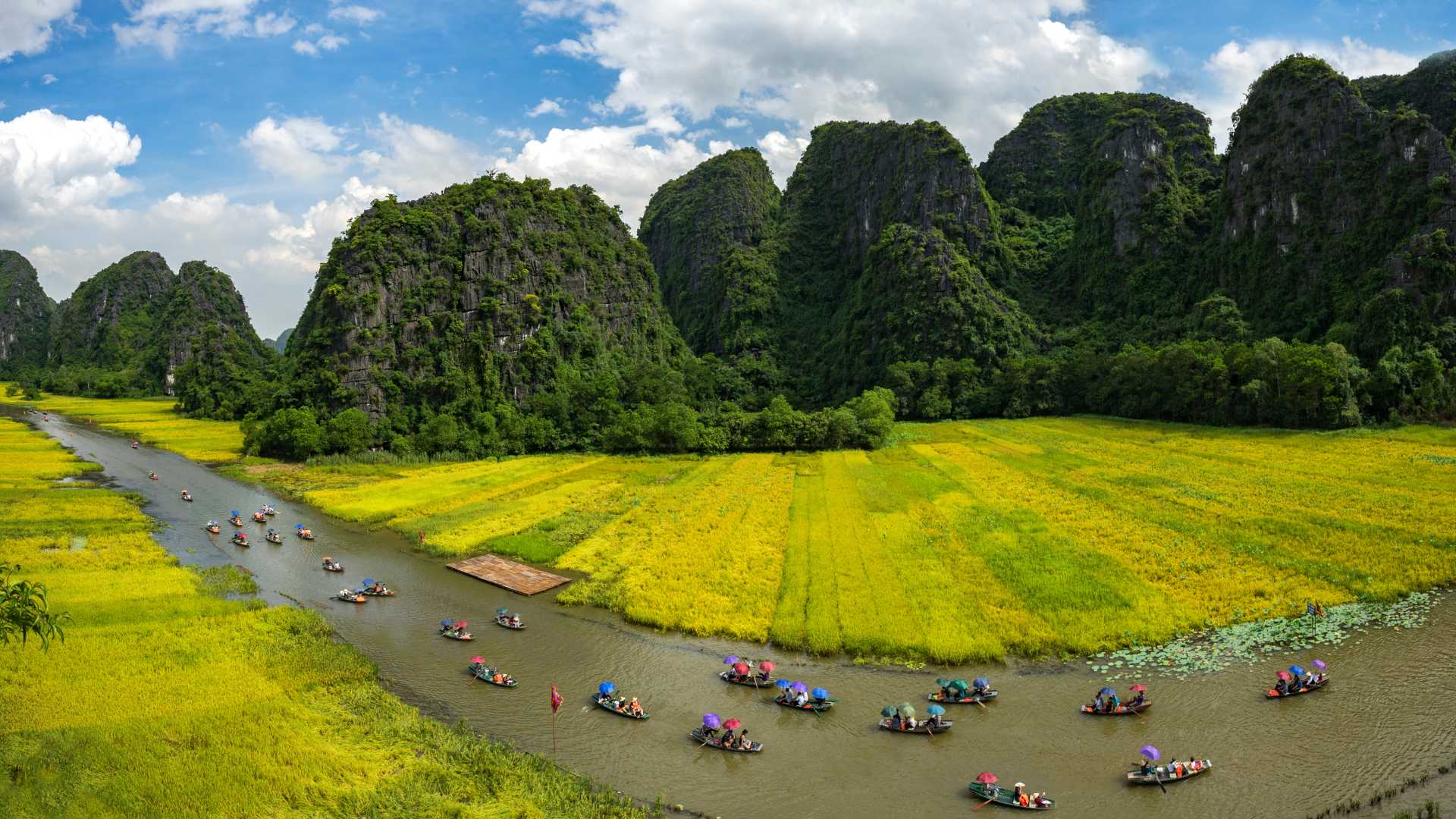 Vietnam Natura e cultura
