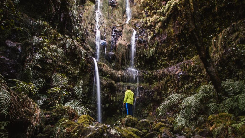 Madeira le migliori escursioni trekking in natura