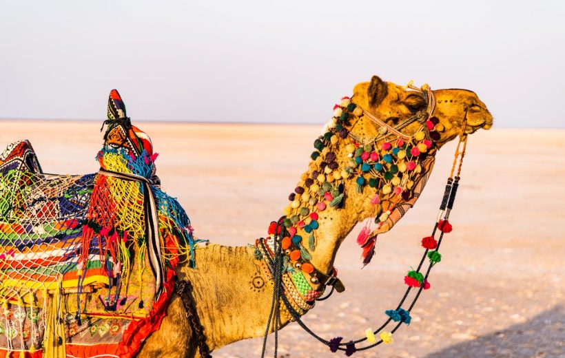 Viaggio fotografico India: Rajasthan e Desert Festival