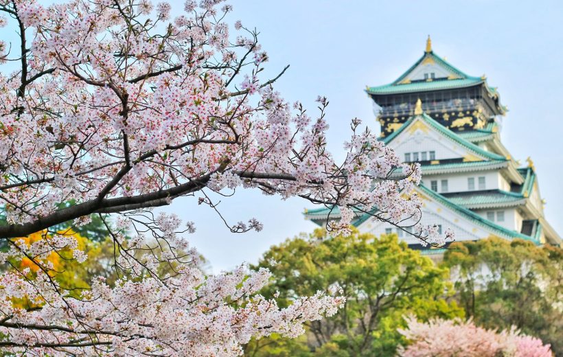 Tour Giappone in Fiore - Viaggio tra le fioriture dei ciliegi giapponesi