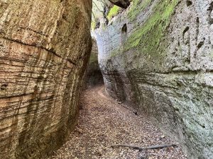 Trekking nelle Terre del Tufo